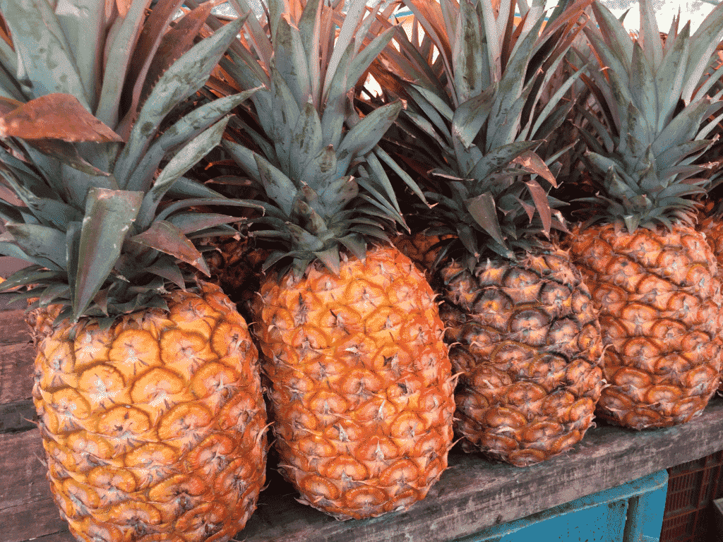 Pineapple for kidney stones