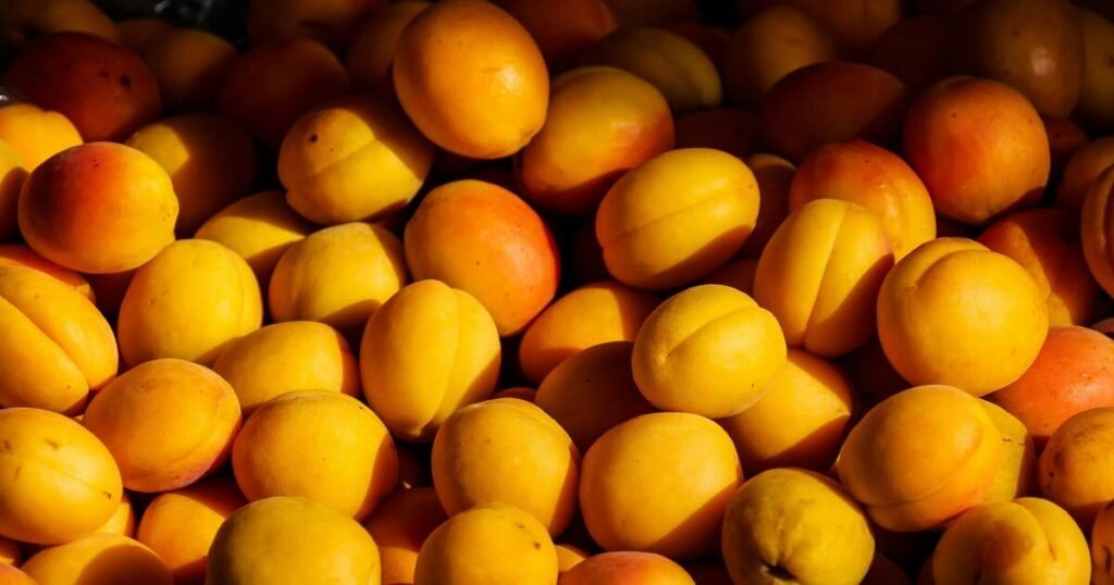 Apricot for kidney patients